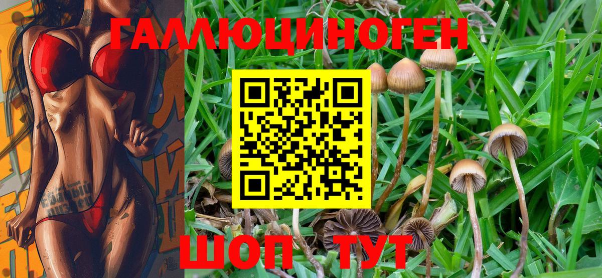 Галлюциногенные грибы Psilocybine cubensis Каменск-Уральский